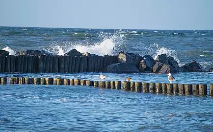 Buhne mit brechender Welle am Strand Dranske
