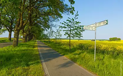 Radwanderweg am Rapsfeld