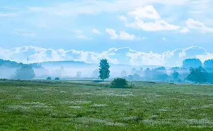 Neblige Sommerwiese am Morgen in Pantow auf Rügen
