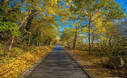 Herbstliche Thiessower Straße im Ostseebad Göhren