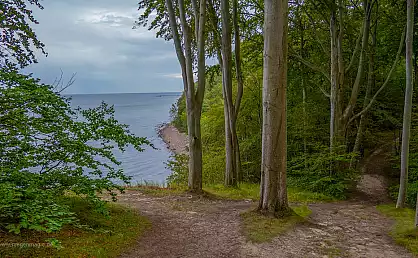Blick vom Hochuferweg der Granitz auf die Ostsee