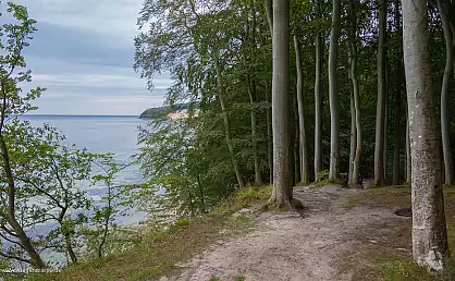 Blick vom Hochuferweg der Granitz auf die Ostsee