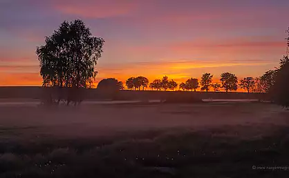 Sonnenuntergang mit Nebel über den Feldern von Zirkow