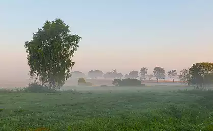 Morgenwiese in Zirkow