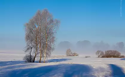 Winterwiese in Zirkow