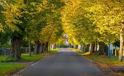Herbstallee in Ralswiek