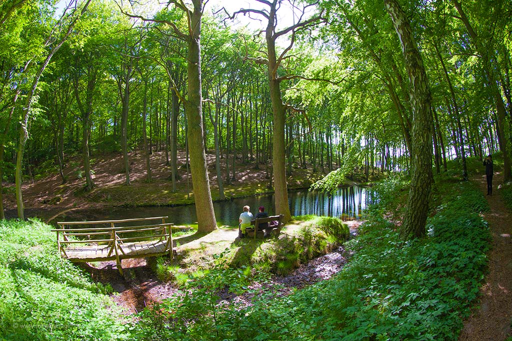 Brücke und Sitzplatz am Kaskadensee im Waldpark Semper