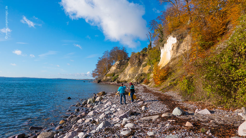 Herbst an der Kreideküste Rügen
