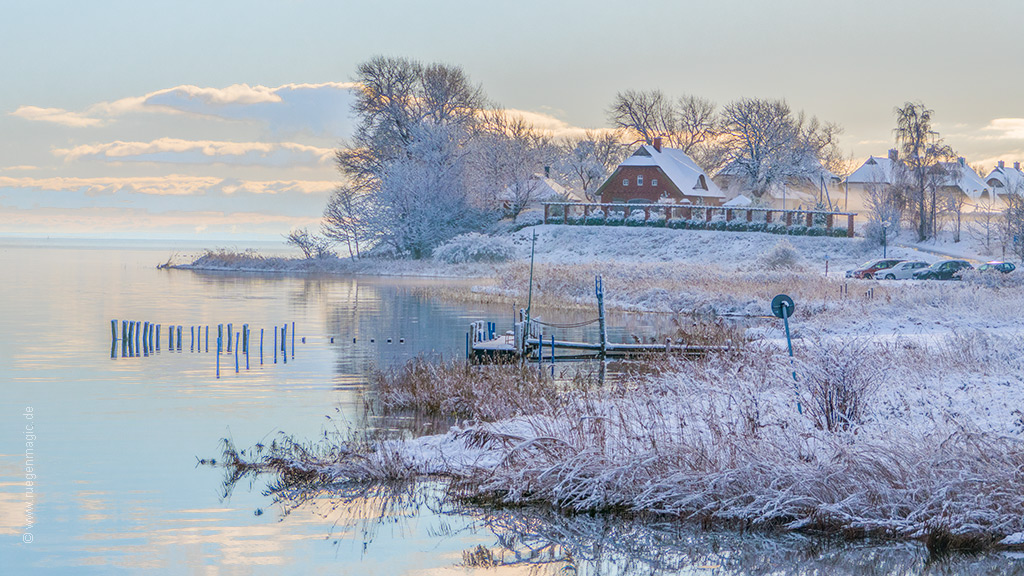 Wintermorgen in Neukamp am Greifswalder Bodden