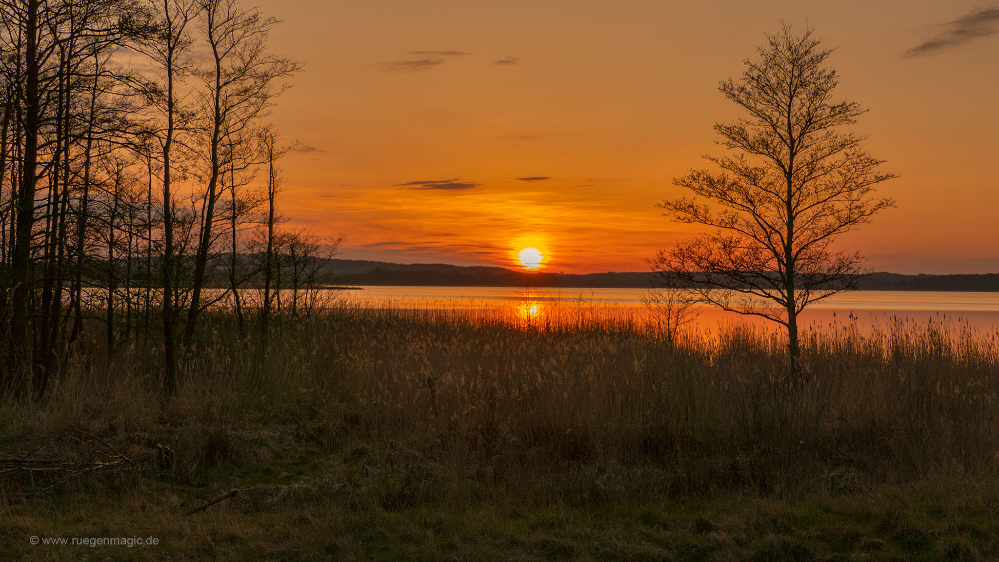 Sonnenuntergang über dem „Kleinen Jasmunder Bodden“ bei Lubkow
